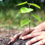 सेनाको ‘गो ग्रिन क्याम्पेन’ अन्तर्गत २ हजार बिरुवा रोपियो