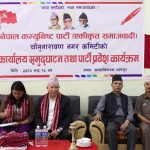 एमालेको कुनै अर्थ छैन, हावा खाएर जान्छः माधवकुमार नेपाल