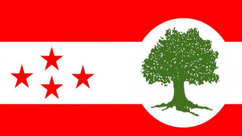 कांग्रेसको पिछडिएको क्षेत्र समन्वय विभागमा १० सदस्य मनोनित