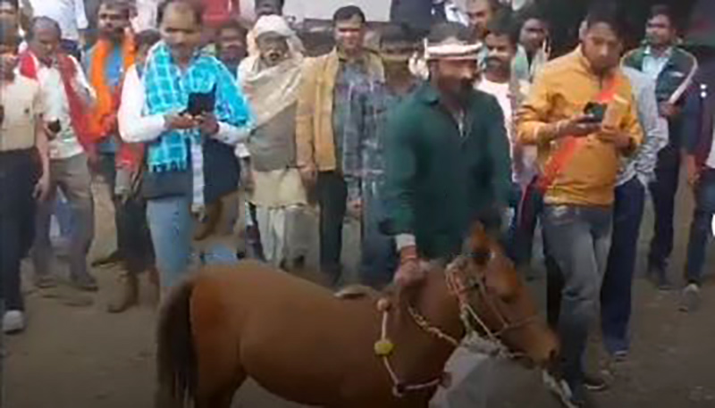 घोडाको जोडी खोजिदिनेलाई पुरस्कार घोषणा, ३२ लाख दिँदा पनि बेच्न मानेनन्