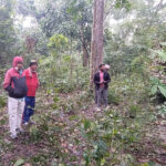 निजगढमा बाघ आतङ्क, चौपाया मारेर खान थाले पछि पूरै गाउँ त्रसित