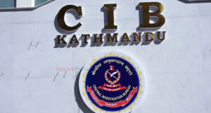 ईजीपी प्रणाली ह्याक प्रकरणमा निर्माण व्यवसायीसहित ९ जना पक्राउ