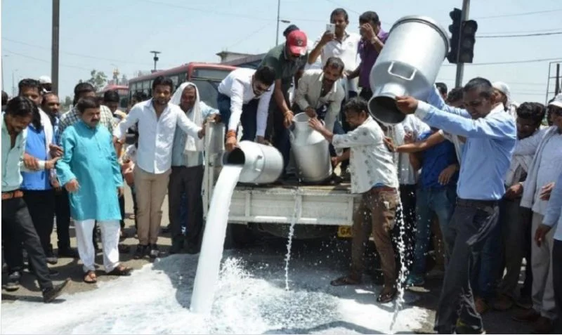 रौतहटका दुध उत्पादक किसानले आज देखि आन्दोलनमा