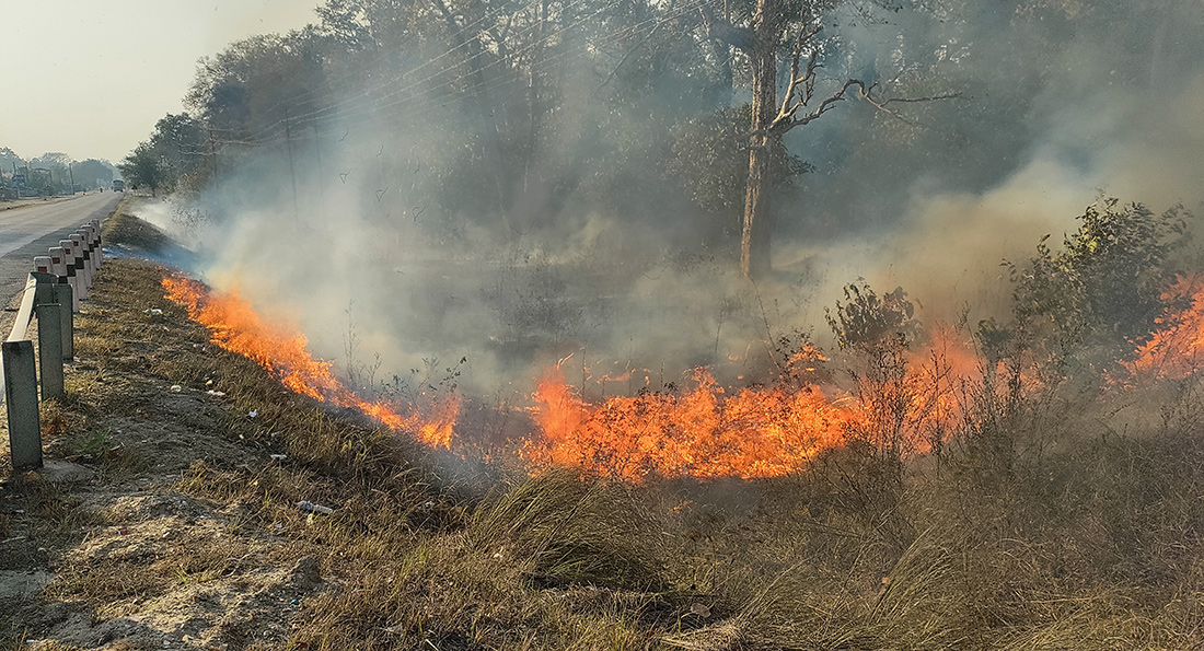 मधेशका वनमा जताततै डढेलो, नियन्त्रणका निम्ति पहल भएन (तस्बिरहरु)