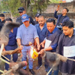 सहकारी ठगीविरुद्ध कांग्रेसले प्रदर्शन गर्दै, १५ जना केन्द्रीय प्रतिनिधि खटिए