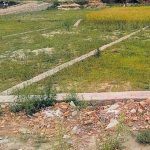 सार्वजनिक जग्गा अतिक्रमणमा ठुलाबडा नै संलग्न: प्राधिकरण