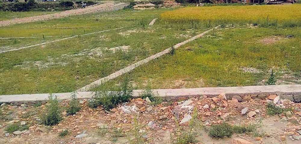 सार्वजनिक जग्गा अतिक्रमणमा ठुलाबडा नै संलग्न: प्राधिकरण