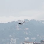 ‘मोन्था’ चक्रवातको असर नेपालमा : उपत्यकासहित देशभर वर्षा