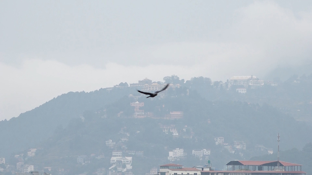 ‘मोन्था’ चक्रवातको असर नेपालमा : उपत्यकासहित देशभर वर्षा