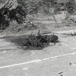 सिन्धुलीमा मोटरसाइकलसँग ट्रक ठोक्किँदा २ जनाको मृत्यु, ४ जना घाइते