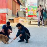 काठमाडौं महानगरपालिले गर्‍यो २ हजार बढी कुकुरको बन्ध्याकरण