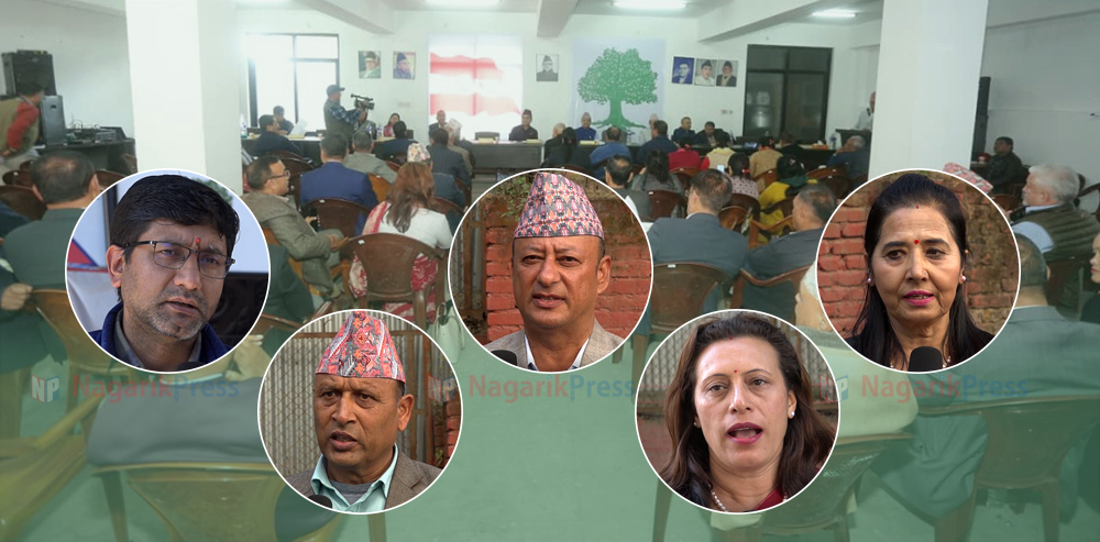 कांग्रेसमा बहस- सांसदको अधिकार खोज्ने की ‘जेनजी म्यान्डेट’ विरुद्ध जाने ?