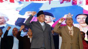 नेकपाले सबै प्रदेशमा एकता सन्देश सभा गर्ने