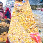 पशुपति क्षेत्रमा शतबीज छर्ने श्रद्धालुको भीड (फोटोफिचर)