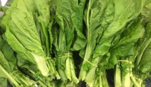 कालीमाटीमा बेच्न राखिएको रायो सागमा भेटियो ९९ प्रतिशत विषादी