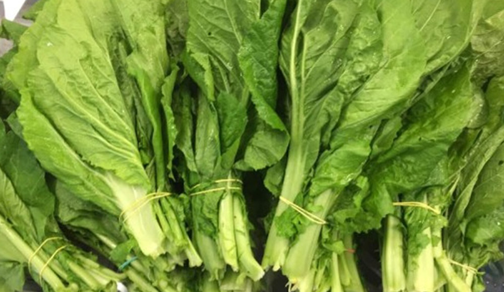 कालीमाटीमा बेच्न राखिएको रायो सागमा भेटियो ९९ प्रतिशत विषादी