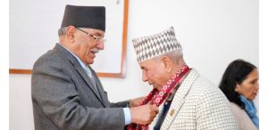 बेदुराम भुषाल नेकपाको राष्ट्रिय सभा संसदीय दलको नेता