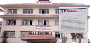 ‘सेतोपाटी’लाई कारबाही गर्न प्रेस काउन्सिललाई निर्वाचन आयोगको पत्राचार