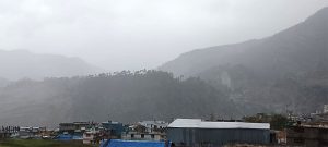 बाजुरामा हावाहुरी र असिना पानीले गहुँबालीमा क्षति