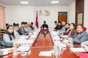 २०४८ यताका पदाधिकारीको सम्पत्ति छानबिन हुने