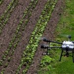 चिनियाँ कृषि ड्रोन बेलायतमा लोकप्रिय बन्दै