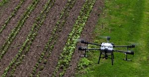 चिनियाँ कृषि ड्रोन बेलायतमा लोकप्रिय बन्दै