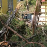 ‘शुक्रबार भारी वर्षा र हावाहुरीले रुख र कमजोर संरचना ढल्न सक्छन्, सचेत रहनू’