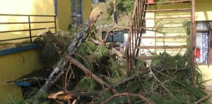 ‘शुक्रबार भारी वर्षा र हावाहुरीले रुख र कमजोर संरचना ढल्न सक्छन्, सचेत रहनू’