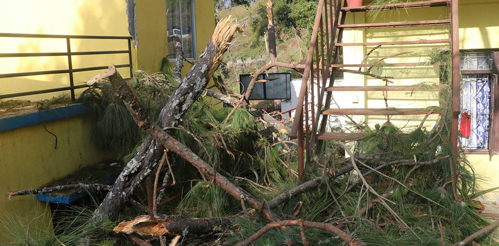 ‘शुक्रबार भारी वर्षा र हावाहुरीले रुख र कमजोर संरचना ढल्न सक्छन्, सचेत रहनू’