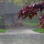 मौसममा फेरबदल: पहाडी क्षेत्रमा वर्षा, हिमालमा हिमपात