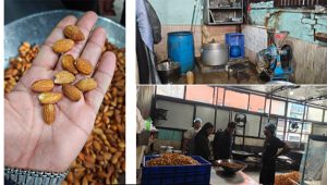 बदाममा कीरा भेटिएपछि काठमाडौंको बागमती स्विट्सको उत्पादन र बिक्रीमा रोक