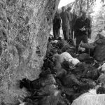 बाजुरामा चट्याङका कारण ५५ वटा भेडा र बाख्रा मरे