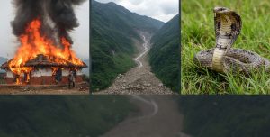 वर्ष २०८२: ७ हजार बढी विपद्का घटना, ४ सय ९६ जनाले ज्यान गुमाए