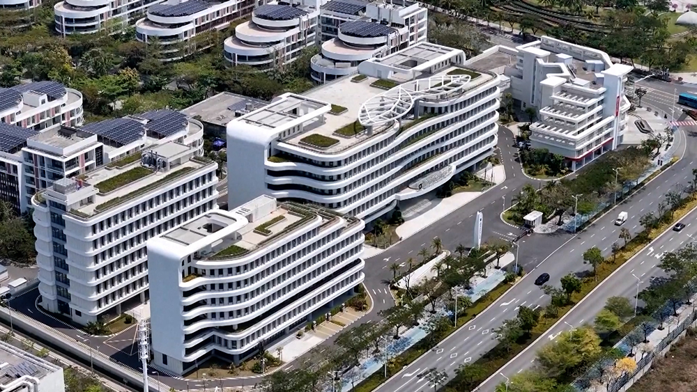 चम्कियो चीनमा मोती प्रशोधन उद्योग (तस्बिरहरू)