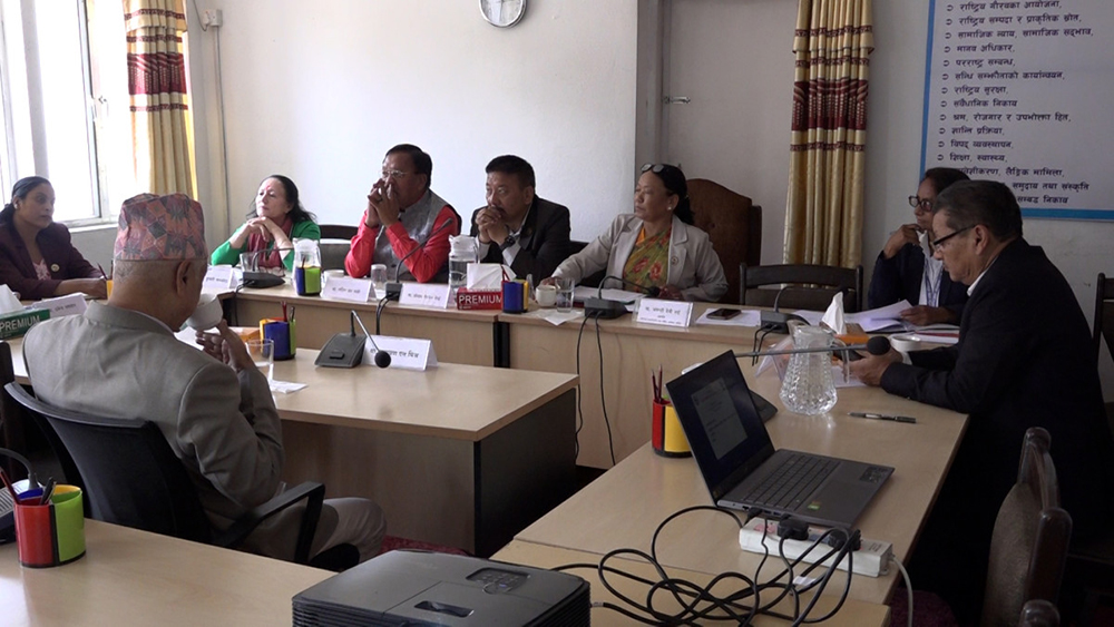 संघीयता सबलीकरण समिति मातहतका ३ उपसमिति पुनर्गठन