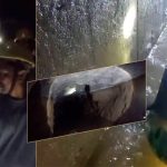 पूर्वको ‘लाइफलाइन’ मेची राजमार्ग संकटमा : जुनसुकै बेला ठुलो दुर्घटना हुन सक्ने