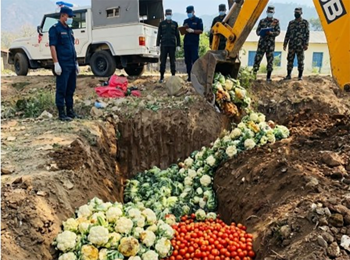 तरकारीमा ९५ प्रतिशतसम्म विषादी भेटिएपछि कडाइ