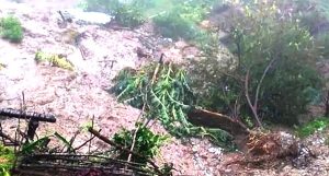 पहिरोले दोलखामा चार महिनाकी शिशुको ज्यान गयो, आमा गम्भीर घाइते