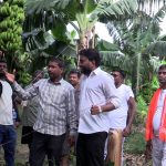भारतीय केराको आयातमा कडाइ, नेपाली किसानले पाउन थाले उचित मूल्य