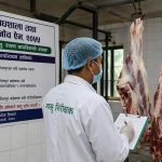 काठमाडौं उपत्यकामा मंसिरदेखि मासु जाँच गरिने