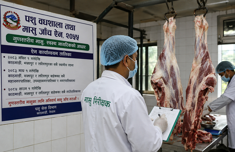 काठमाडौं उपत्यकामा मंसिरदेखि मासु जाँच गरिने