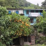 नयाँ घर बनाउने ‘निम्सदाई’को सपना अधुरै, शोकमा डुब्यो गाउँ