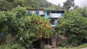 नयाँ घर बनाउने ‘निम्सदाई’को सपना अधुरै, शोकमा डुब्यो गाउँ