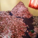 पाथीभरामा एक वर्षको आम्दानी चार करोड ८२ लाख बढी भेटी संकलन