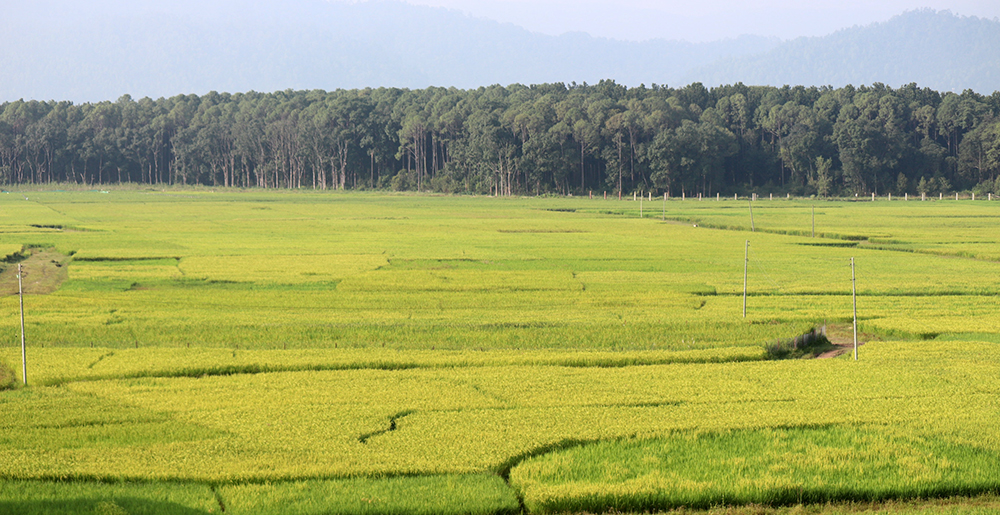 कर्णालीमा ६९ प्रतिशत जमिन सिँचाइविहीन